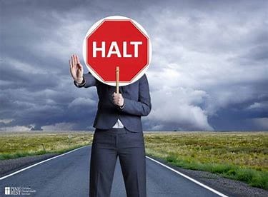man holding a traffic sign that says "halt"