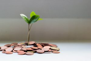 small plant growing from copper coins